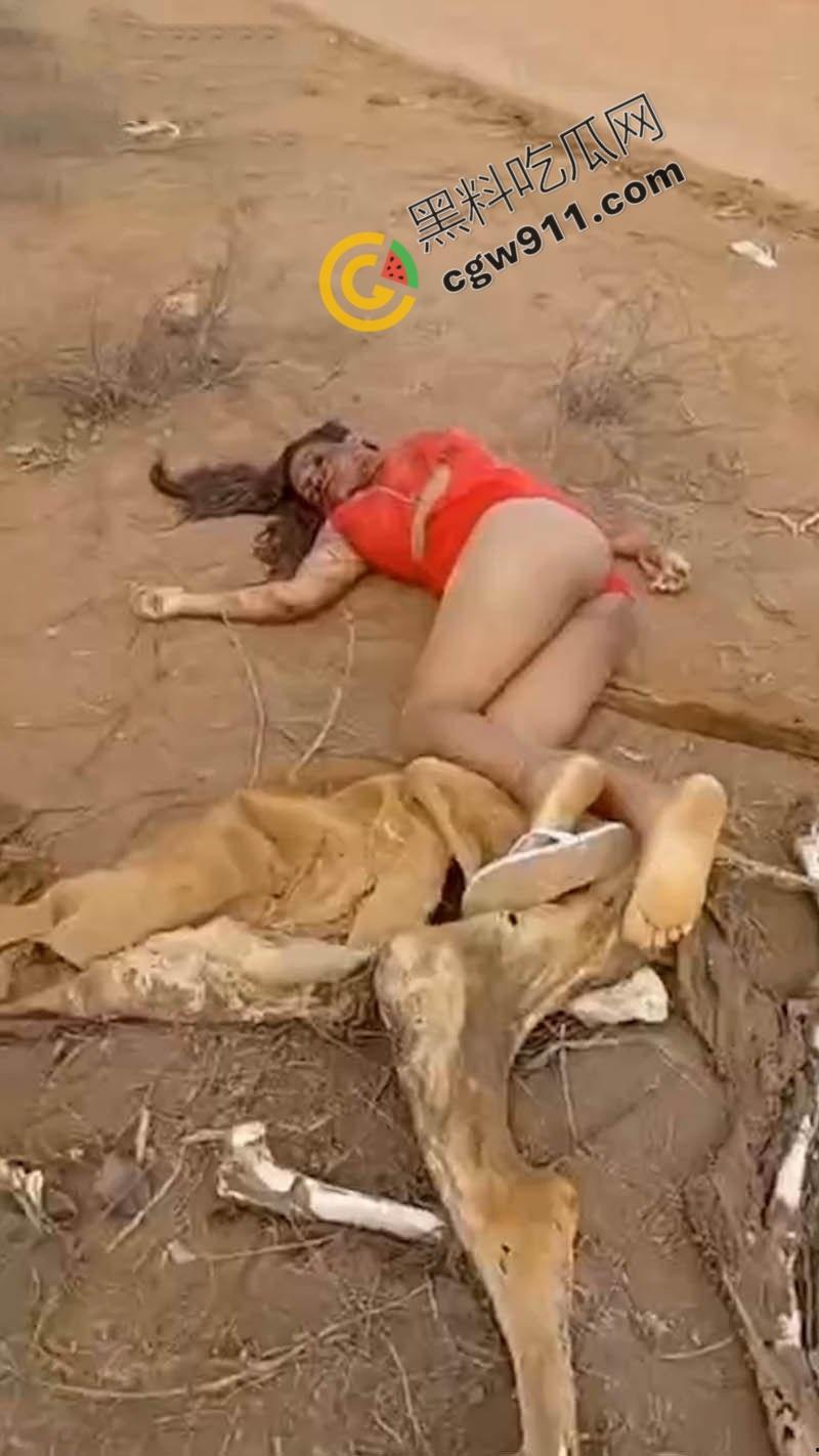 巴西路边血腥噩梦:北部湾州美女割喉弃尸,红衣浸血如修罗场,喉管撕裂,热血喷涌染红大地!-2