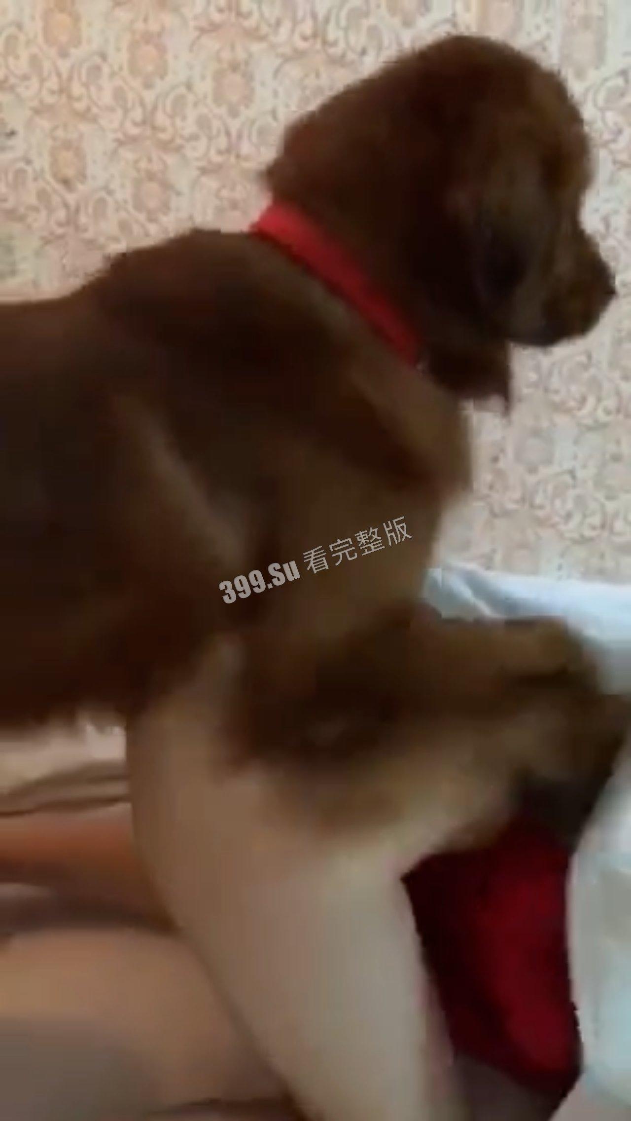 猎奇系列 人不能…至少不应该 (八)-3