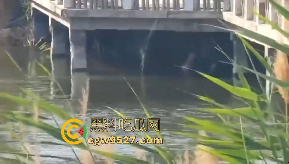 热心男子勇救落水女子，还知道从背后救，挺专业的，摇摇晃晃推到岸边，下次这种落水女子麻烦让我来救！-9