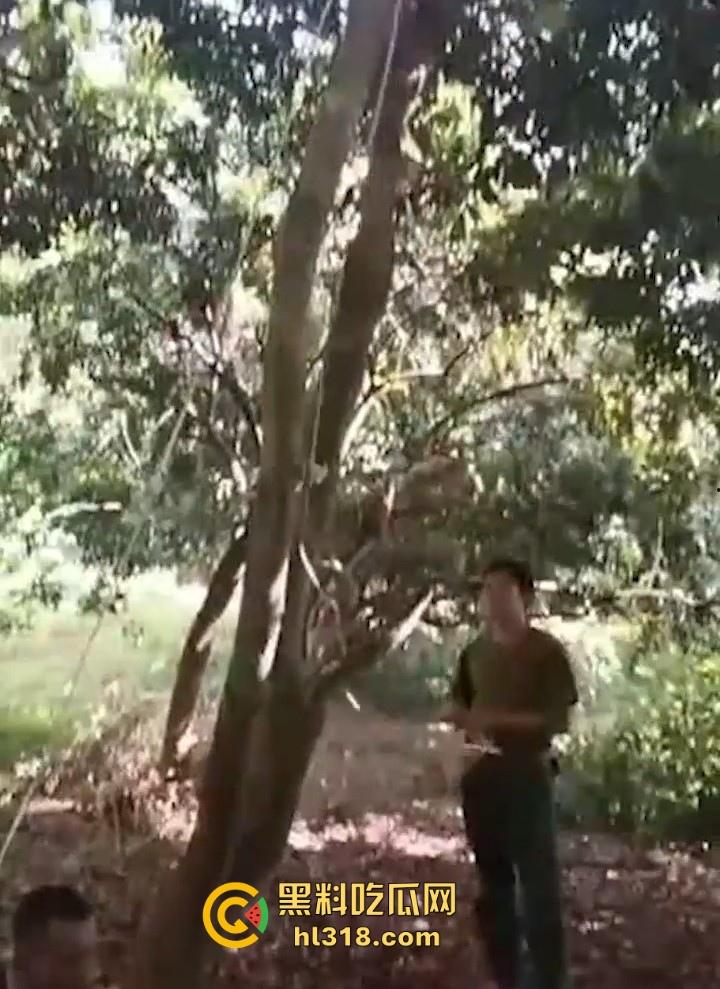 禽兽父强奸亲生女儿！导致女儿怀孕，村民愤怒自发替天行道，吊打禽兽生父，这种人就该打死！-2
