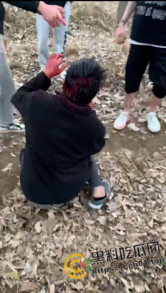 河南精神小伙霸凌同学 打的浑身是血求饶 头发被染红 河南不大 创造神话-3
