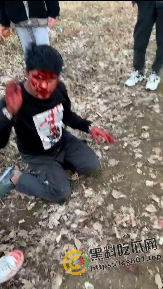 河南精神小伙霸凌同学 打的浑身是血求饶 头发被染红 河南不大 创造神话-6