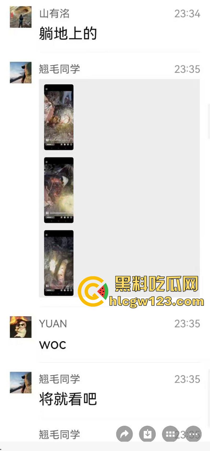 西藏贡嘎藏马熊屠杀人类，帅哥随旅行团西藏游，一行人挖虫草误入熊窝，头骨被咬碎无一生还！-3