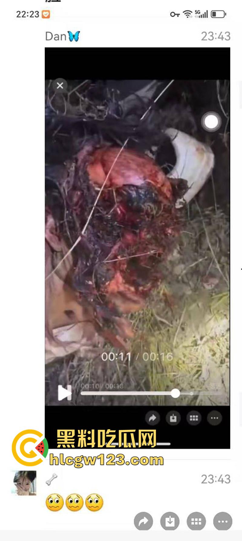 西藏贡嘎藏马熊屠杀人类，帅哥随旅行团西藏游，一行人挖虫草误入熊窝，头骨被咬碎无一生还！-7