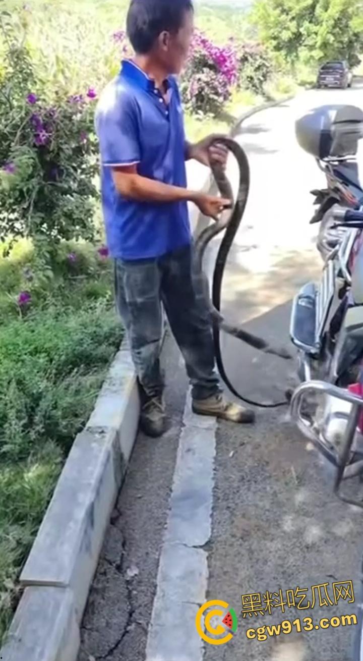 贵州男子徒手玩耍毒蛇，抽烟炫耀套脖子上到处甩，不料却是眼镜王蛇，最终被咬后两个小时死亡 !-1