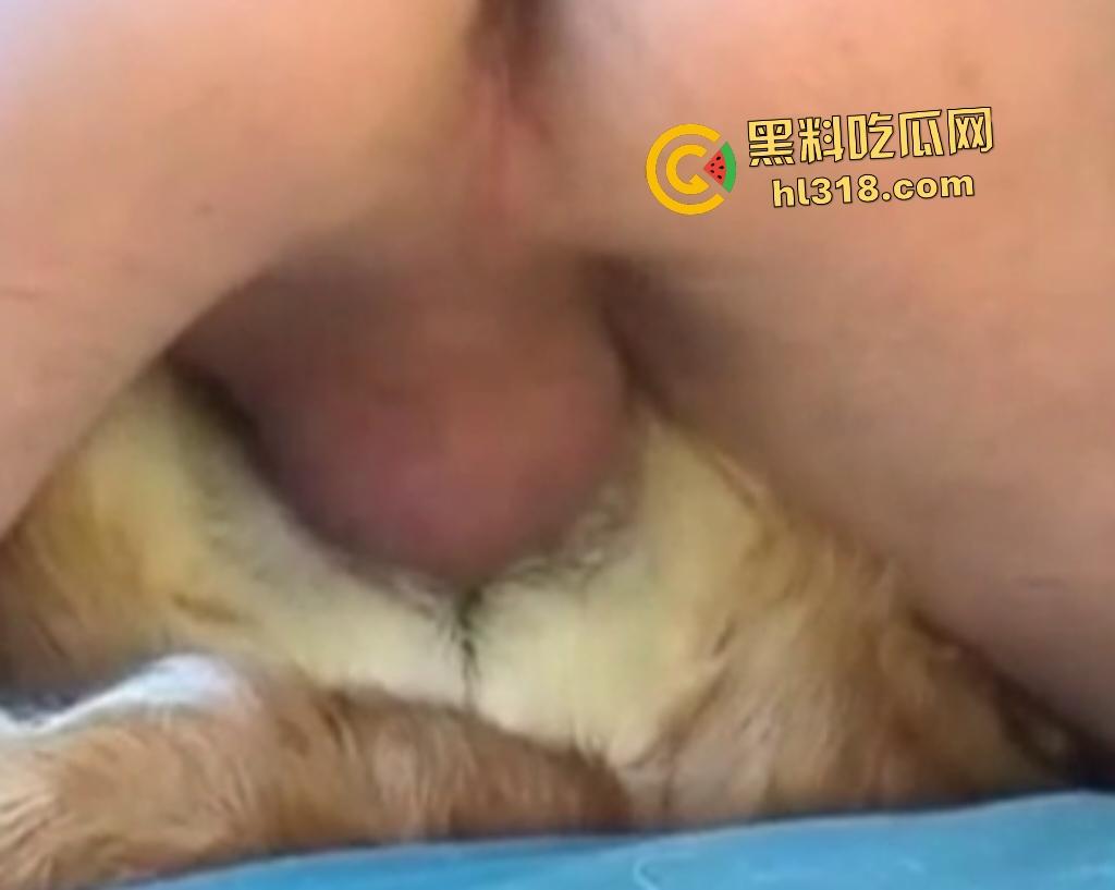 狂野男人与忠犬上演人兽激情！人与狗交欢，传教士式把狗压在身体下，这才是真的操母狗！-5