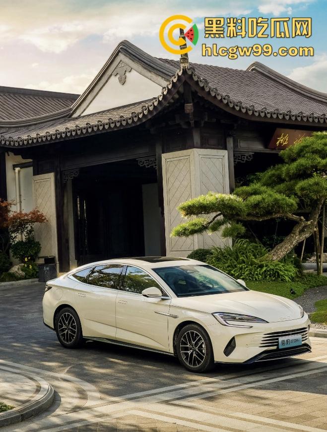 比亚迪海豹直播翻车，主播测试智能驾驶自动泊车，直接撞上车，吓得秒下播！比亚迪公关团队连夜上班？-3