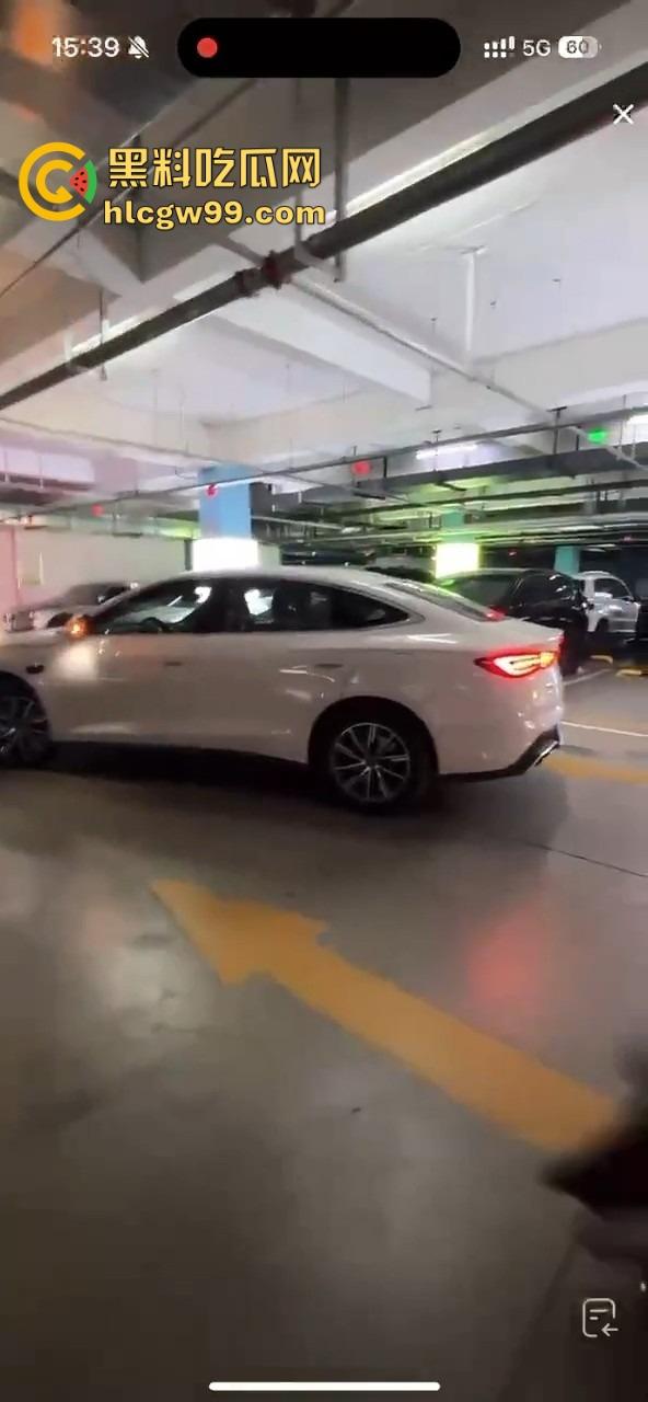 比亚迪海豹直播翻车，主播测试智能驾驶自动泊车，直接撞上车，吓得秒下播！比亚迪公关团队连夜上班？-13