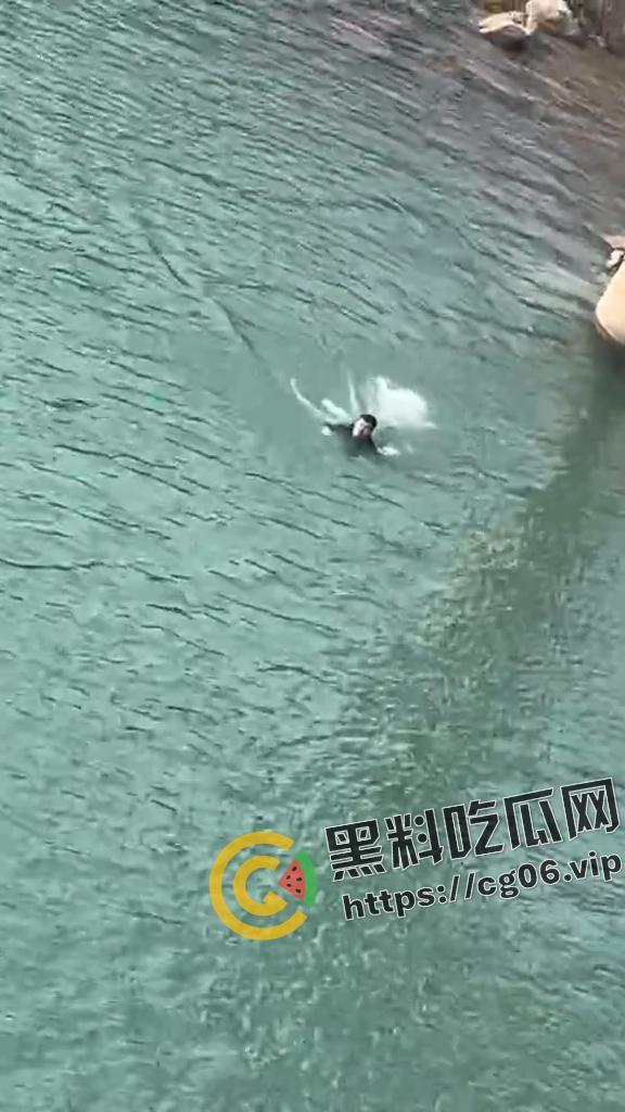 四川南充男子跳水勇救轻生女子 最终女子获救 男子因江水湍急体力不支 丧命于此 现场打捞视频曝光-2