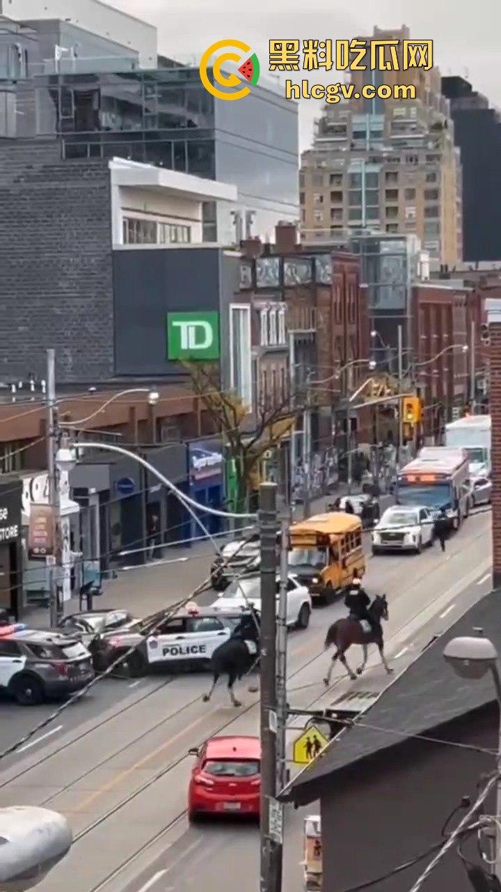 多伦多11月2日上演现实版警匪追逐!downtown街头劫车事件,比大片还带劲!-10