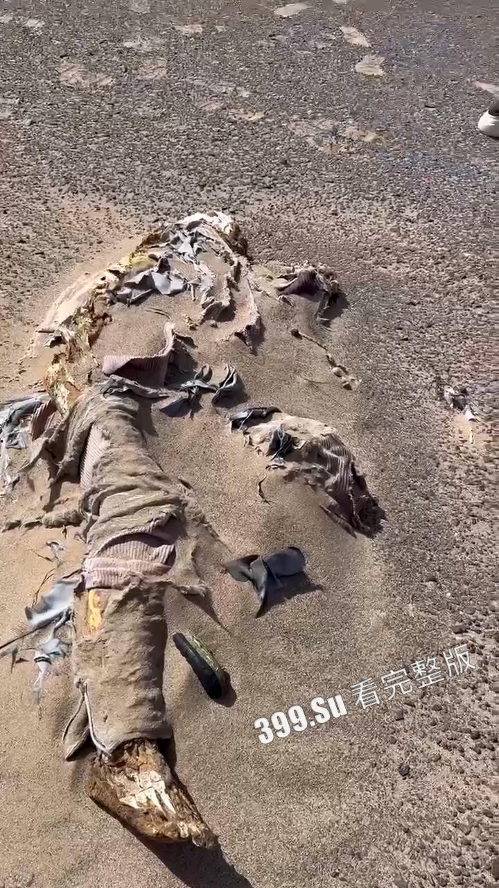 罗布泊干尸事故！罗布泊 4 人遇难遗体碳化 领队不专业走错路 水源储备不充足 人找到已晒成干尸 （现场无码视图）-10