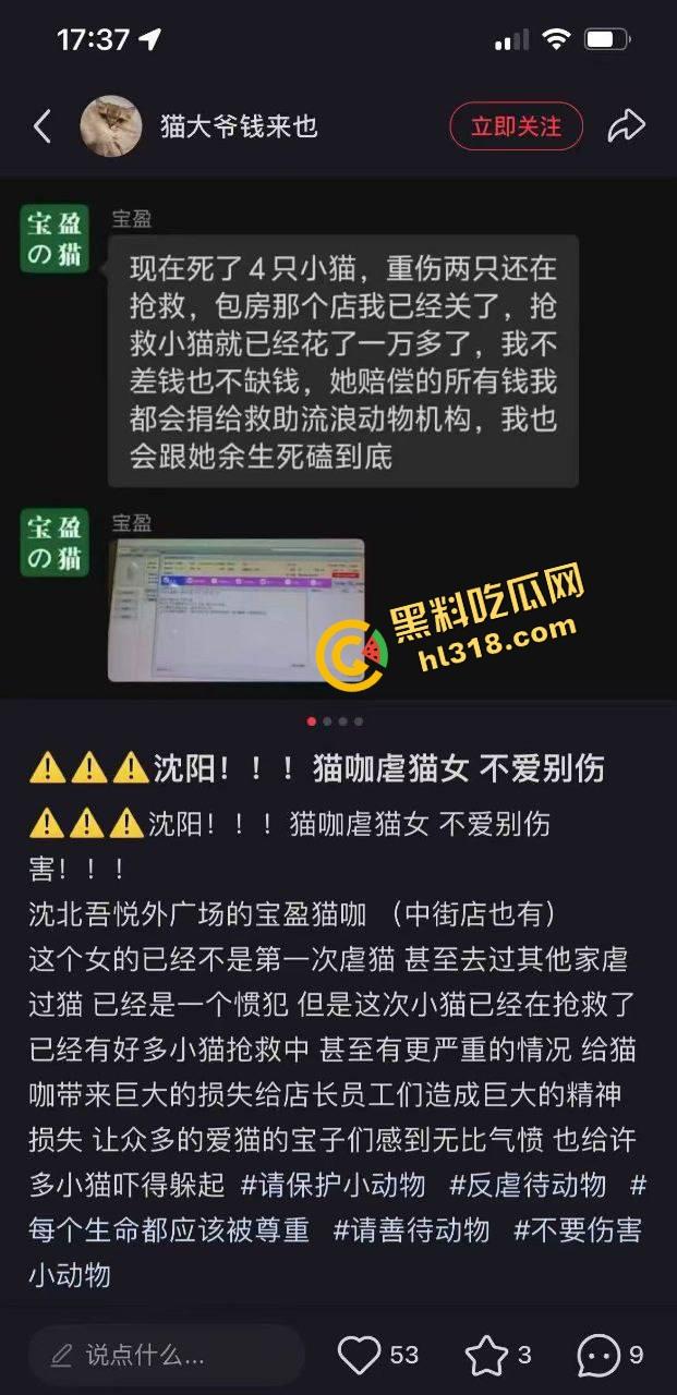 沈阳猫咖惊现女魔头虐猫狂魔,4只奶猫惨死2只重伤,老板怒曝监控报警,宠物圈集体避雷!-1