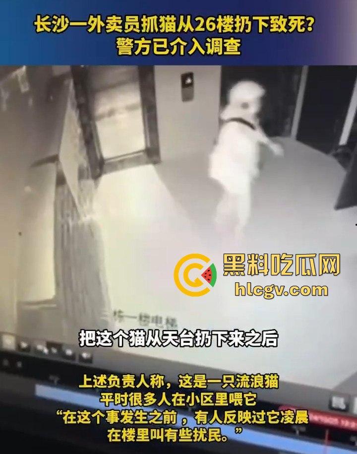 长沙外卖员丧心病狂虐猫！抓猫从26楼扔下当场摔死！-9