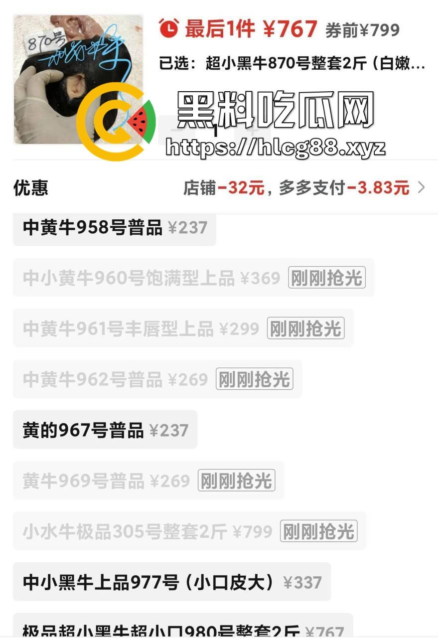 仿真牛逼飞机吞屌神器，各式号码选配让你爽，谁买这玩意撸？印度阿三日牛舔逼狂爱，卖他们直接当首富！-5