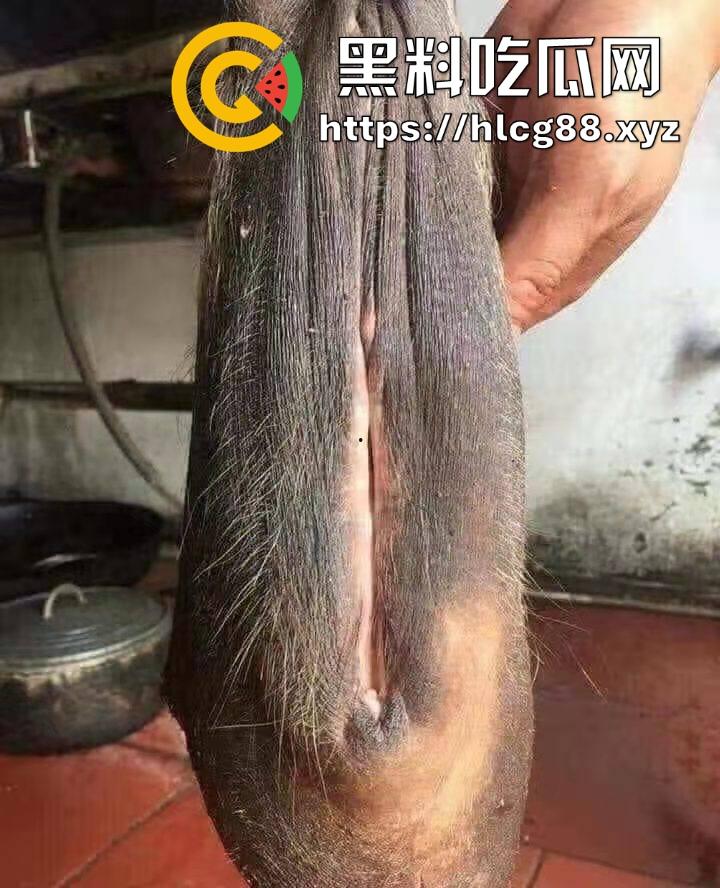 仿真牛逼飞机吞屌神器，各式号码选配让你爽，谁买这玩意撸？印度阿三日牛舔逼狂爱，卖他们直接当首富！-12