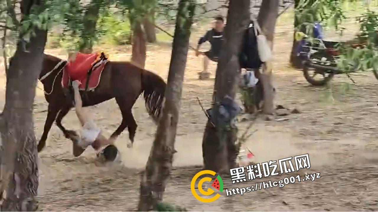 河南郑州阳市黄河桃花峪大桥一马场有小孩头朝下被马疯狂拖行看着属实揪心阿-4