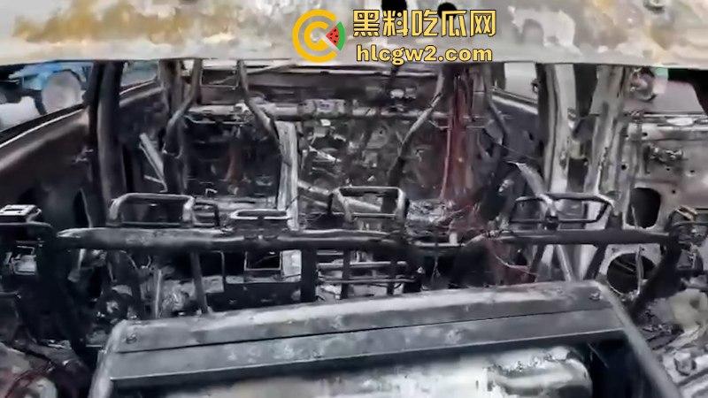 温州龙港时代大道一比亚迪突发自燃 短短几分钟烧没了 现场烧车视频曝光-6