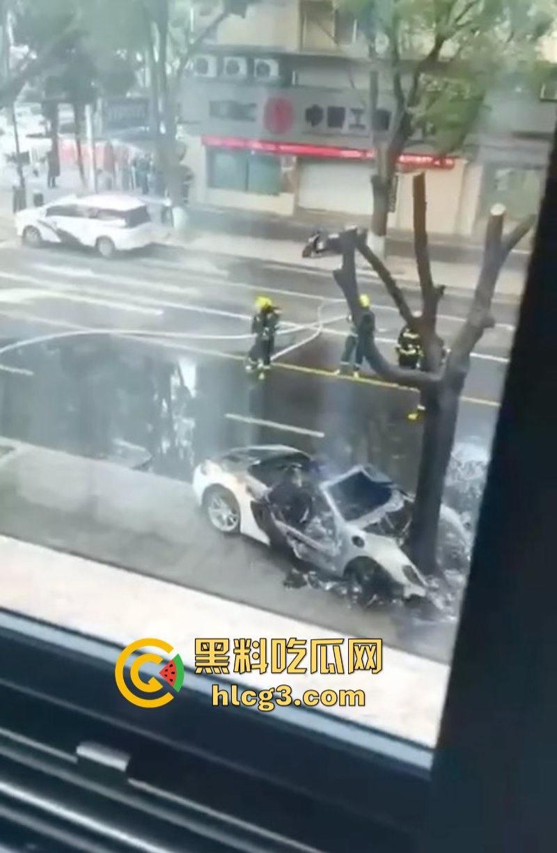 树：我没有动手啊！浙江一辆保时捷撞电动车后撞树起火驾驶人死亡！-7