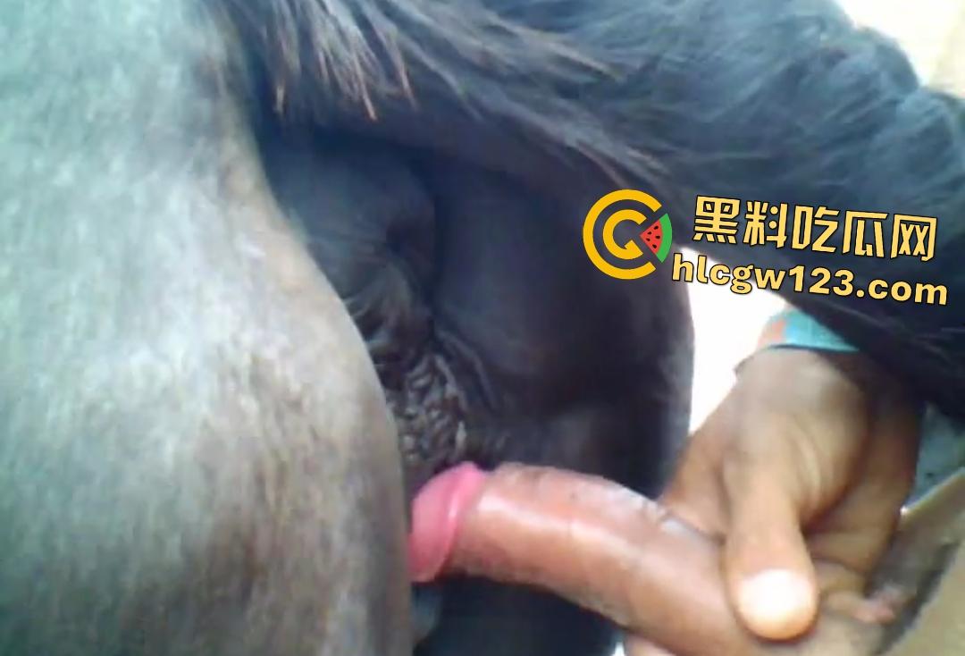 男人狂射母马体内没有一丝波澜！细屌爆操松垮马B，细屌连马都不屑-7