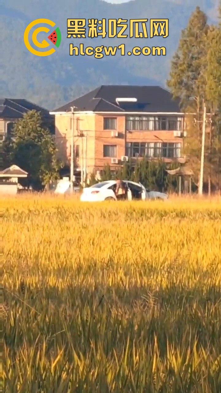 户外野战被拍!小情侣野战以为没人看,结果被摄像大哥拍得清清楚楚,这瓜友是他们play的隐藏角色?-2