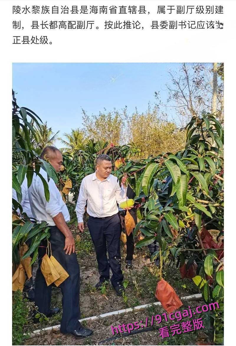 海南陵水县委副书记肖峰被实名举报长期霸占他人妻子 大尺度聊天记录与不雅视频曝光！-1