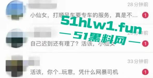 顺风车天津高速扔下乘客事件，细节曝光后许多网友支持顺风车这种麻烦女故意蹭热度吗-4