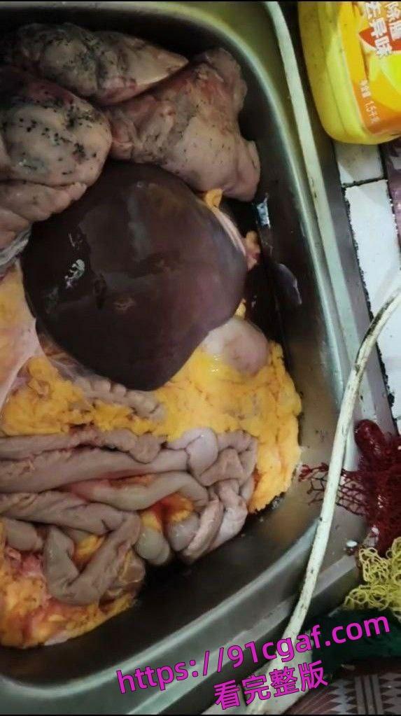 热门越南屠夫，重口血腥，太恶心太重口 顶不住的兄弟们就别看了-4