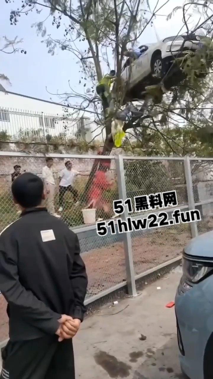 小刀拉屁股开了眼了，宜宾长宁驾校一教练教女学员开车一脚开飞直接上树，这车技也是没谁了！-8