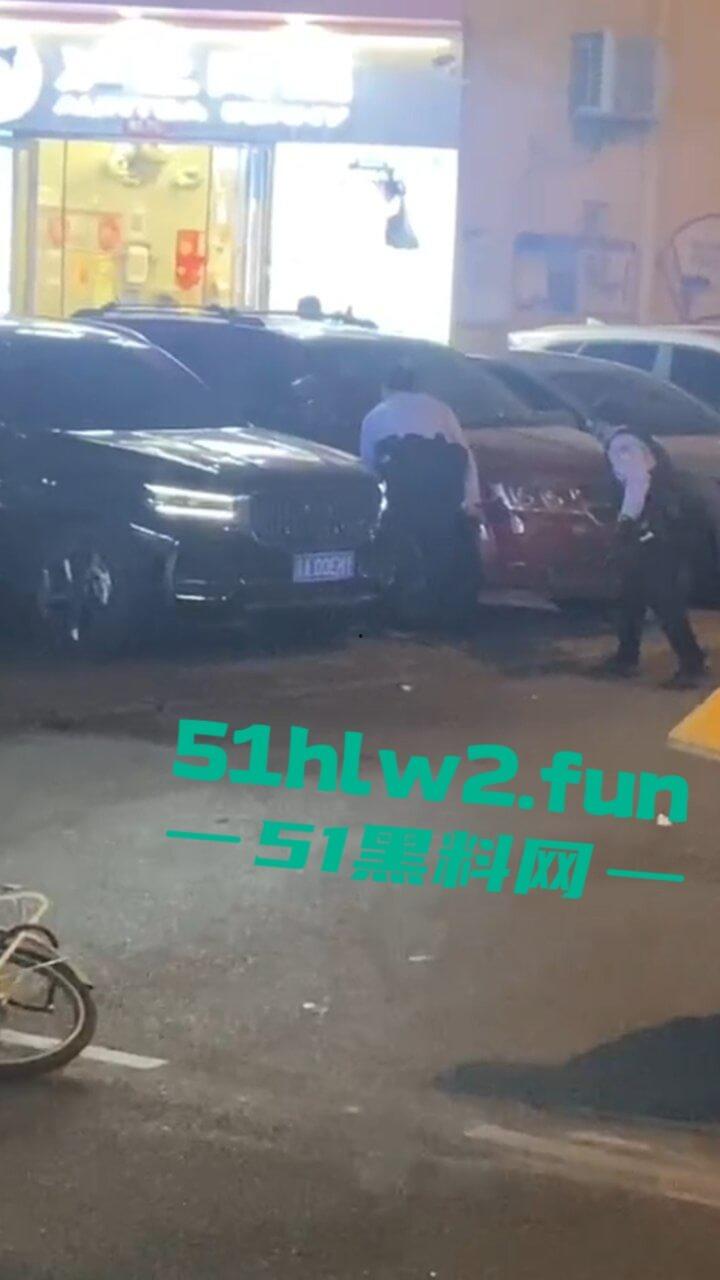 海南三亚金鸡岭，富天乐酒店门口民警和歹徒搏斗全过程，男子强奸未遂被巡逻民警发现并逮捕。-2