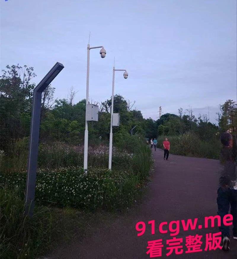 成都“大久保公园”大量站街女！100一次妹妹陪你钻小树林，避孕套堆成山-5