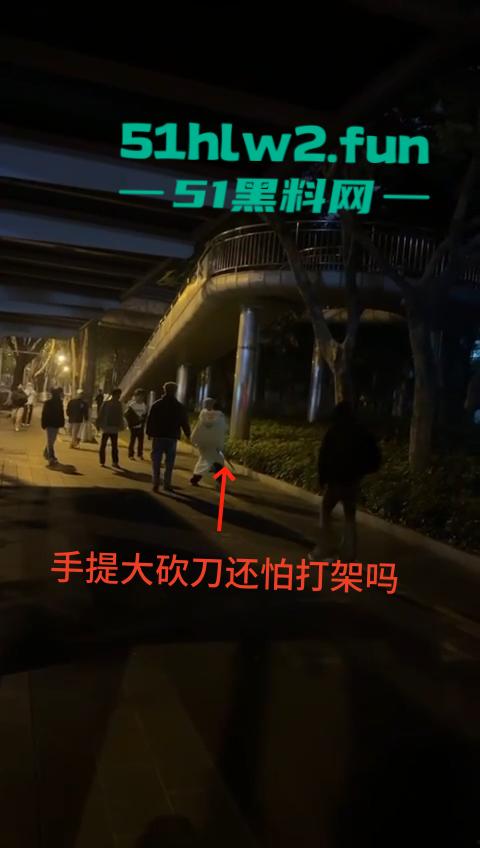 网传两群精神小伙天桥下约架，谁跳砍谁蒙面刀客低调上场，人狠话不多提起就是一刀儿。-3