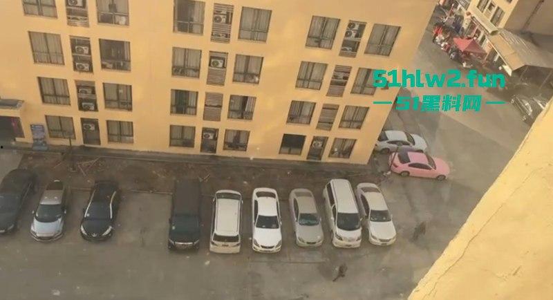 军方突击检查缅甸亚太城，吓得园区里的狗推们瑟瑟发抖，疯狂吐槽保护费白交。-7