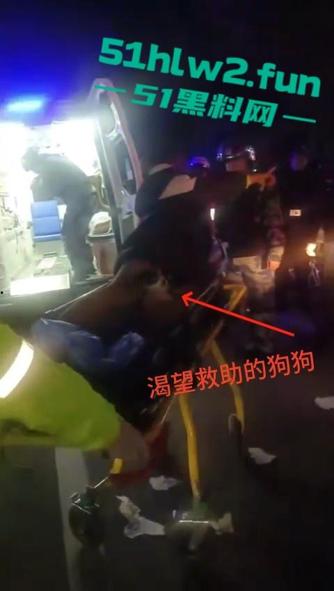 浙江丹州紫竹山庄女子【人兽与狗】性交，狗鸡巴卡阴道里面出不来只能送医救治，社死现场视频。-8