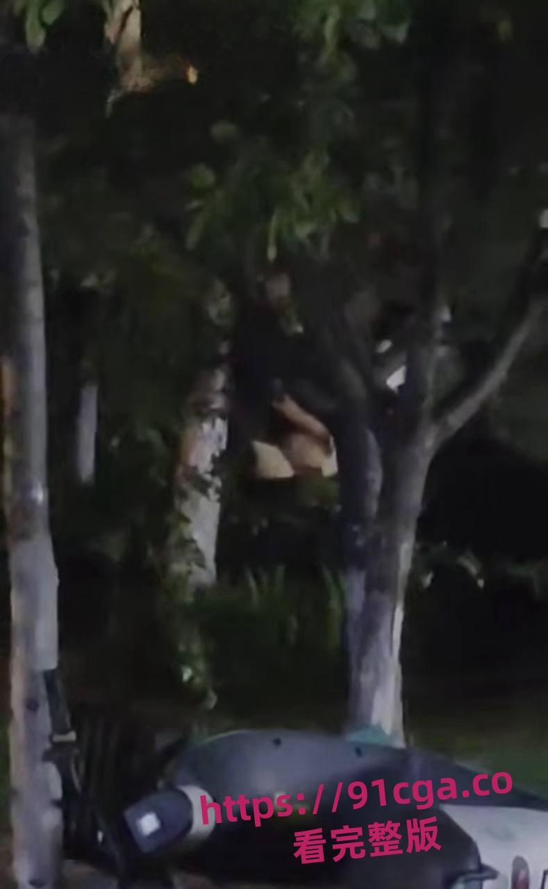 东营55岁老不朽夜市小树林与女激情一分钟速战速决引热议！-3