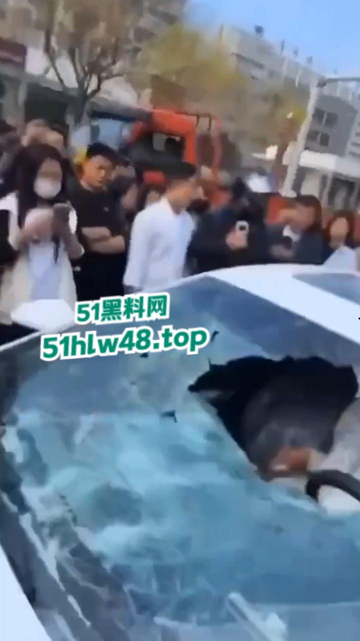 河北邢台最蠢原配，带姐妹家人砸车抓小三被吓的车里不敢出来，结果被玻璃划伤原配遭刑拘。-3