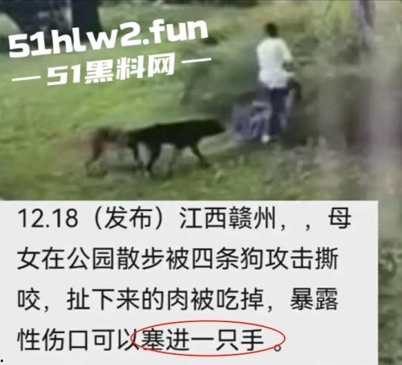 江西赣州四条大型犬公园撕咬母女原视频，狗主人拒绝赔偿系当地小老板，引起了广大网友们热议。-8