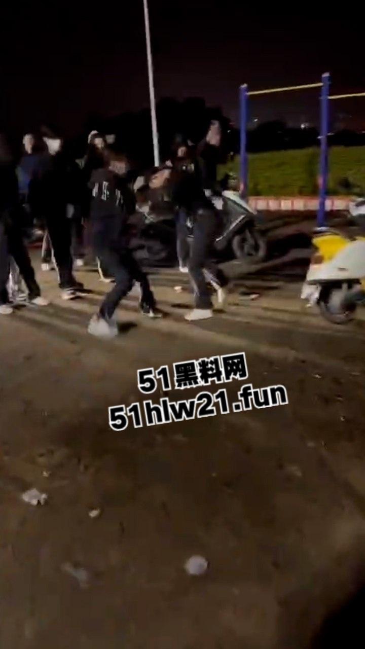 潮汕精神小妹为抢帅哥交配权，当街大打出手拳打脚踢薅头发，就看谁得骚劲大！-3