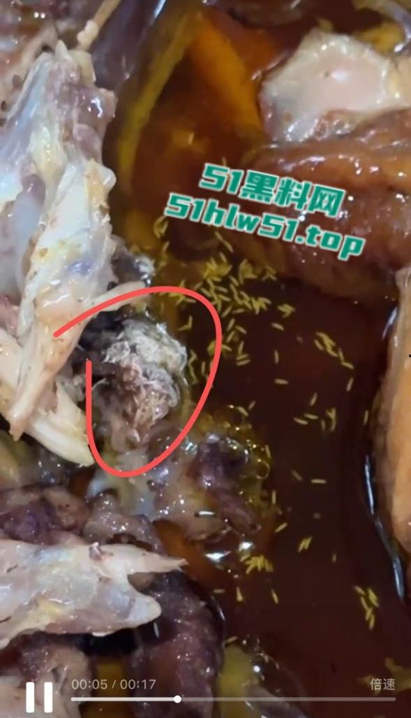 潮汕一农家乐窑鸡，鸡肉内部上爬满蛆虫密密麻麻超级恶心，场面令人作呕吃出人生阴影！-3