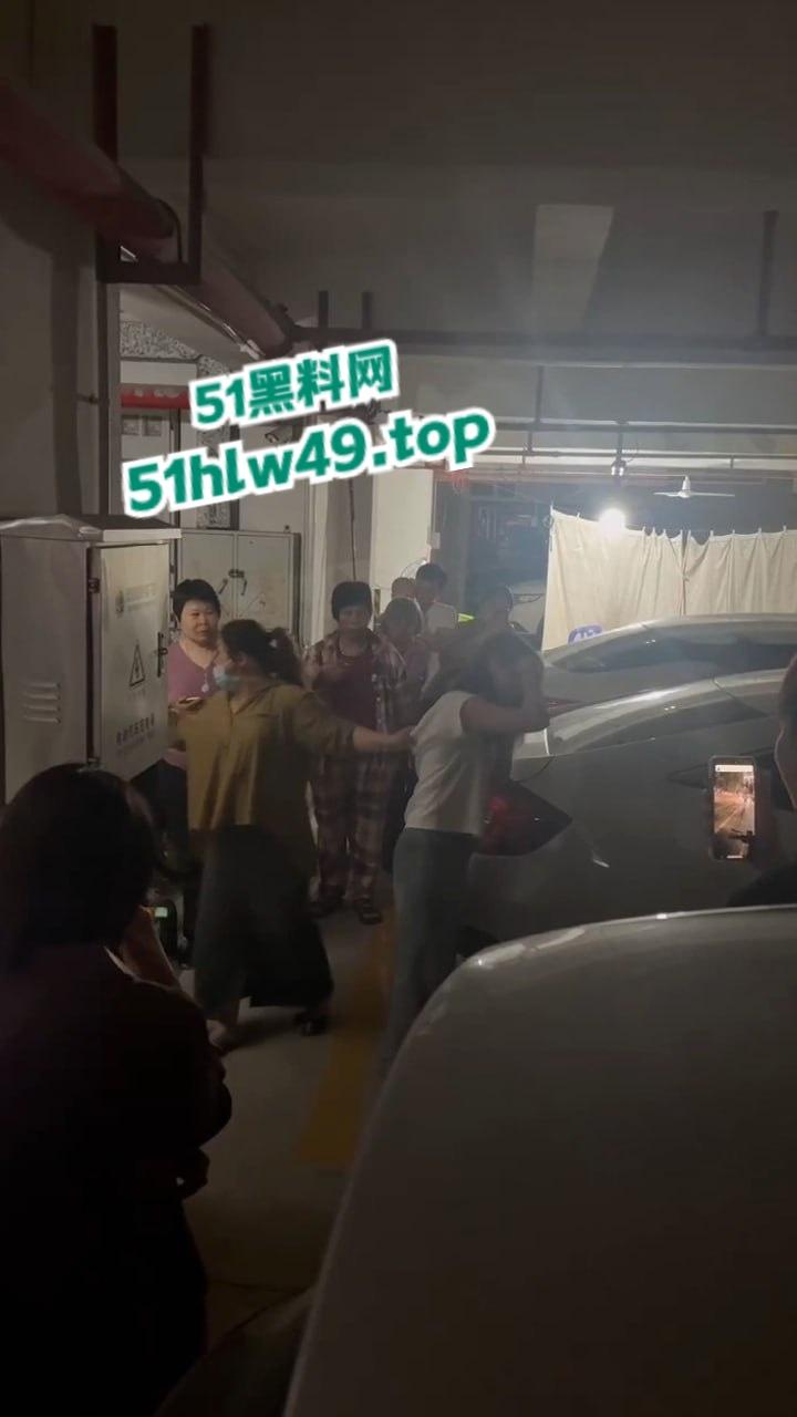 广东汕头肥猪女捉奸，小三车上涂鸦带人当街殴打，肥婆已被逮捕求谅解只能净身出户。-2