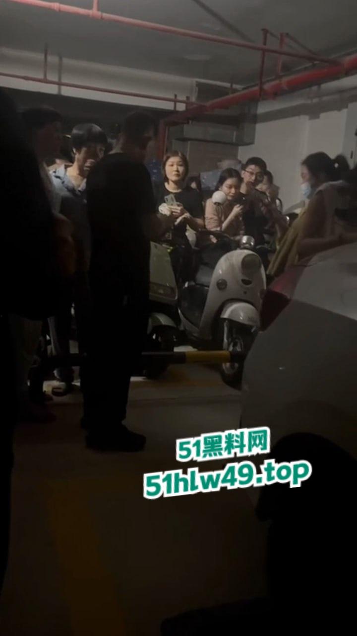 广东汕头肥猪女捉奸，小三车上涂鸦带人当街殴打，肥婆已被逮捕求谅解只能净身出户。-6