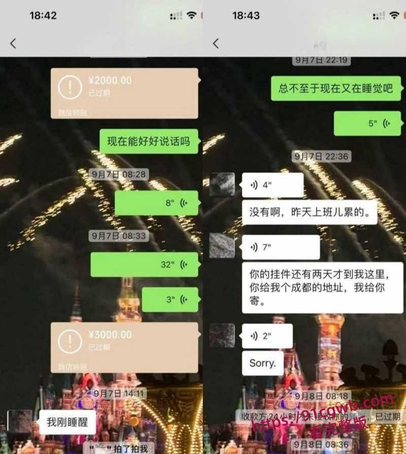 抖音20万粉男网红王晨长期骗钱骗炮女粉丝 多页PPT怒撕渣男伪装 大量聊天记录及性爱视频曝光实锤-4