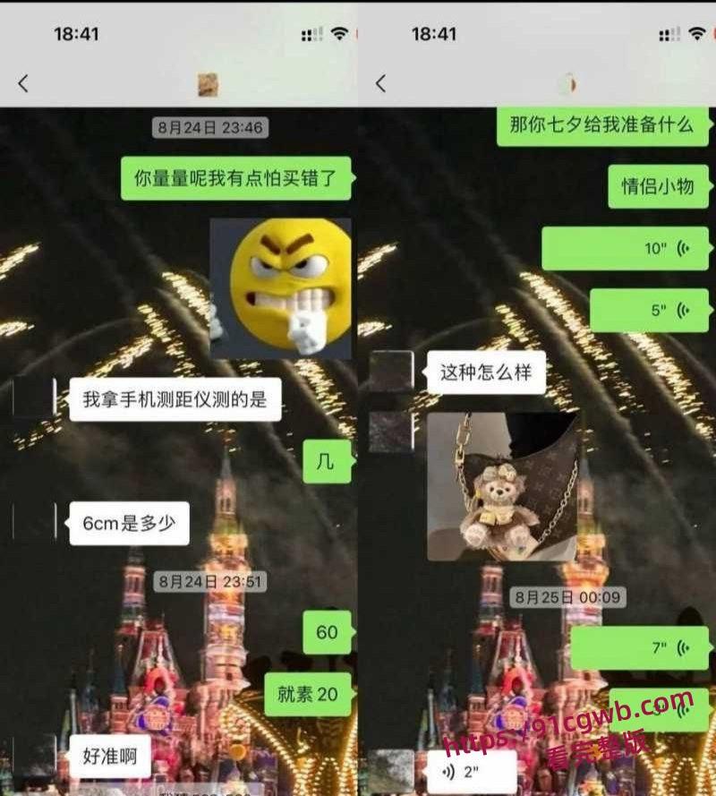 抖音20万粉男网红王晨长期骗钱骗炮女粉丝 多页PPT怒撕渣男伪装 大量聊天记录及性爱视频曝光实锤-7