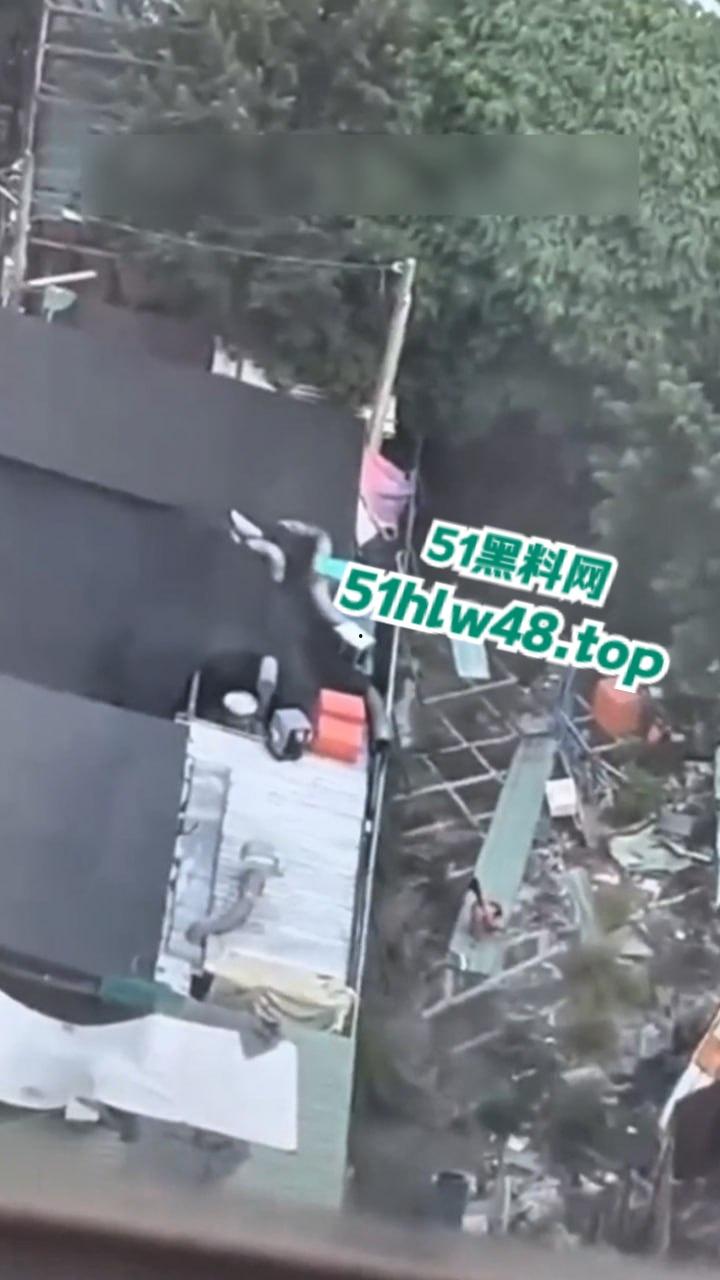 湾湾长腿大妈露天自慰被偷拍，大妈身材年轻时也绝对是大美女，想不到老了竟然这么饥渴。-4