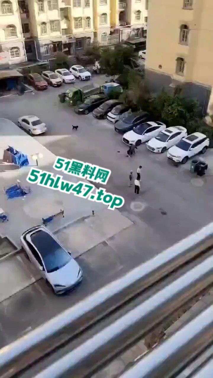 景德镇梨树园北苑老板娘欠钱被砍死视频，女老板欠钱不给还侮辱老实人遭对方乱刀砍死。-7