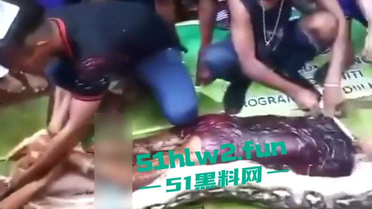印尼猎奇事件，一妇女在回家途中遭蟒蛇袭击，将其缠绕致死后将妇女吞入腹中被村民发现将蟒蛇打死。-1