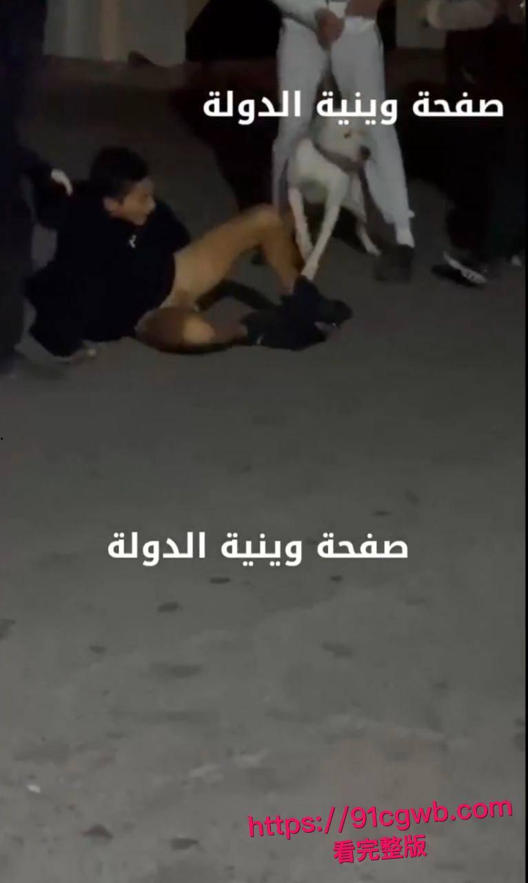 简直是看得蛋疼！黎巴嫩贝鲁特街头小伙裤裆惨遭比特犬幼犬狂咬！睾丸被生生扯出伤口血肉模糊低吟求救全过程偷拍视频疯传-2