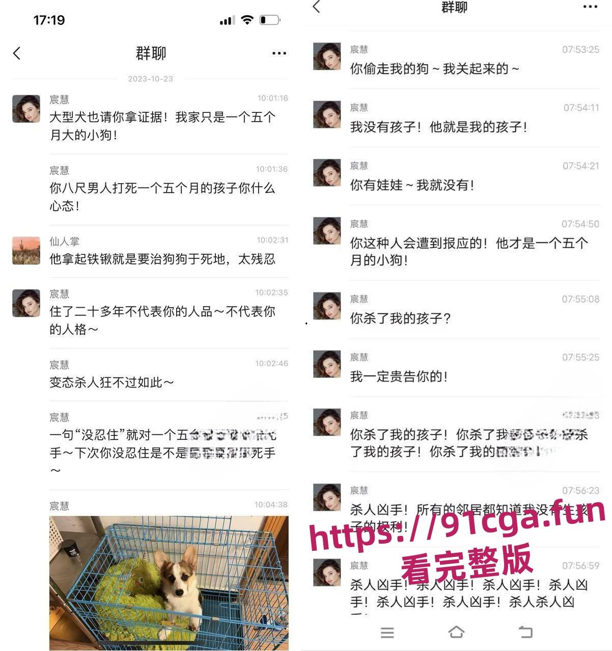 安徽宣城5月龄小柯基扑向孩子 家长拿铁锹活活把狗拍死！-3