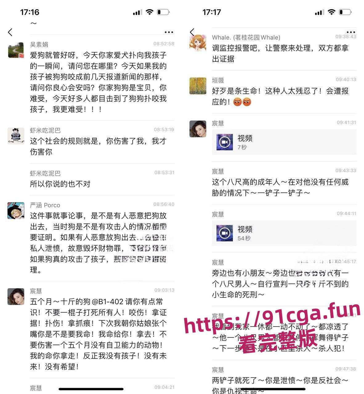 安徽宣城5月龄小柯基扑向孩子 家长拿铁锹活活把狗拍死！-5