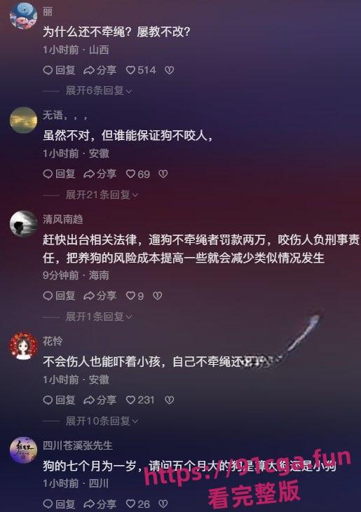 安徽宣城5月龄小柯基扑向孩子 家长拿铁锹活活把狗拍死！-7