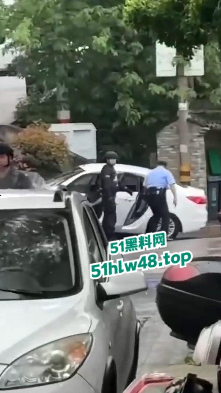 毒贩回国逃蹿台州，枪杀多名路人和警察，现场比拍电影还可怕，目前国内视频已被封禁。-7